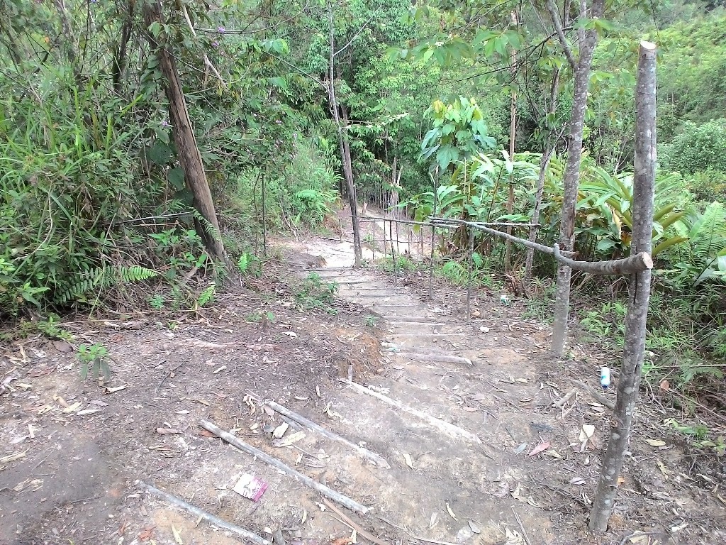 Jalan menuju Air Terjun Pulo Simo