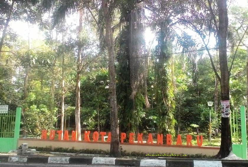 hutan kota