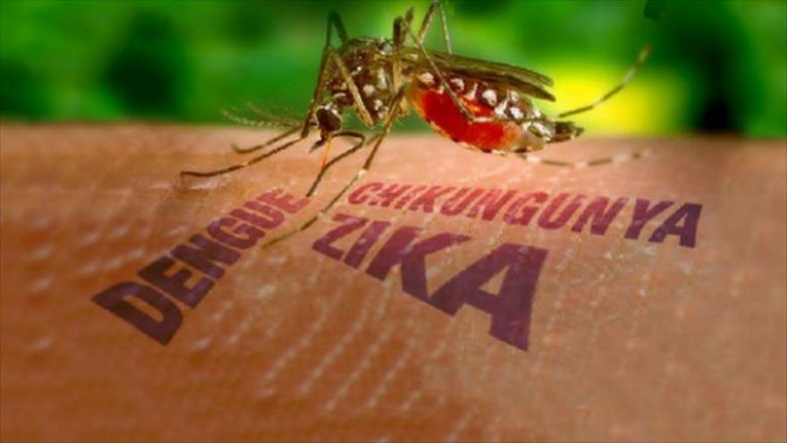 ZIKA