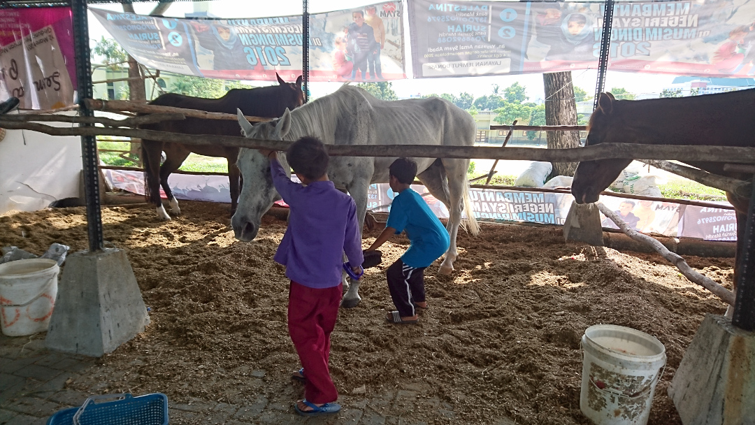 Yuk Berkuda di Mesjid Raya An Nur Sambil Menunggu Buka