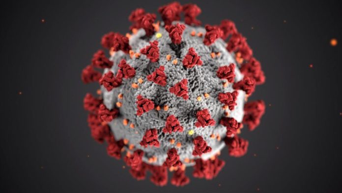 Virus Corona