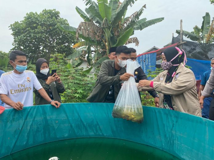 Mahasiswa KKN UMRI