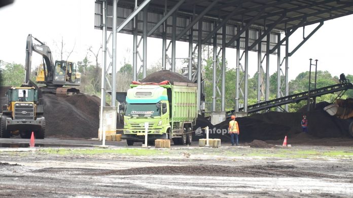 Biomassa Cangkang Sawit