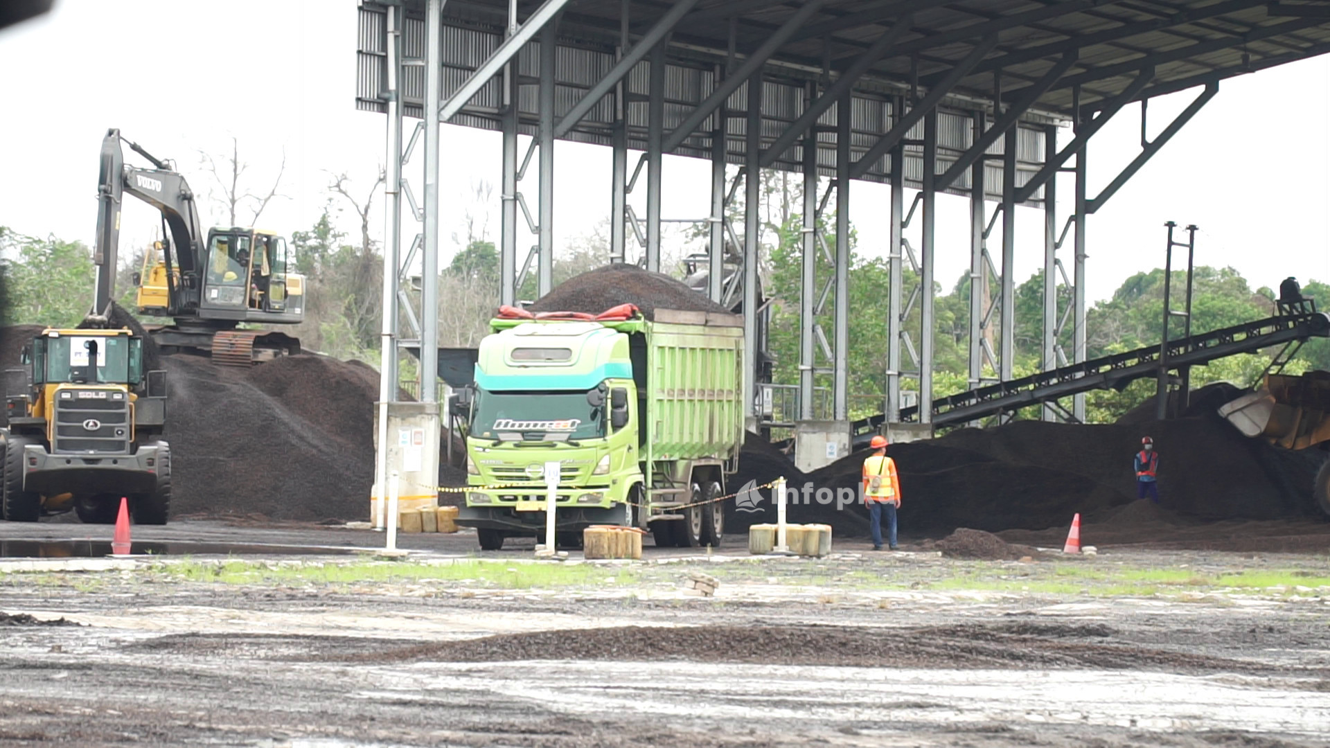 Biomassa Cangkang Sawit