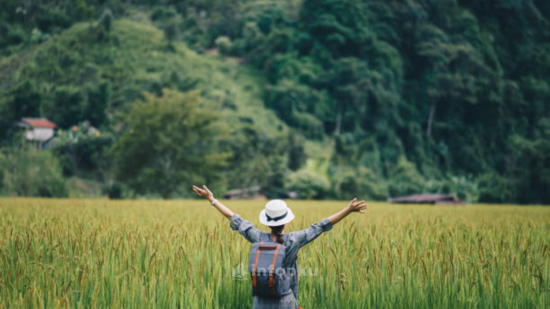 Rekomendasi Agrowisata di Pekanbaru Nyaman dan Asri
