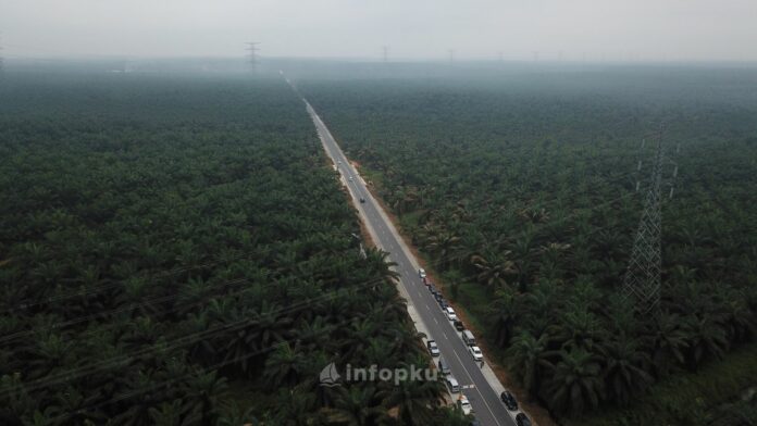 Wilayah Terluas Di Riau Wilayah Terluas Di Riau