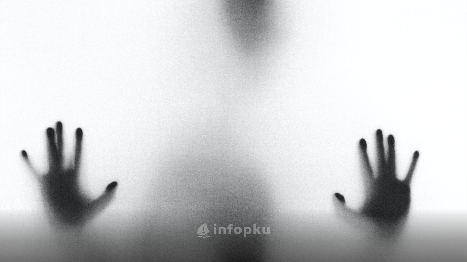 Video Penculikan Anak Pekanbaru