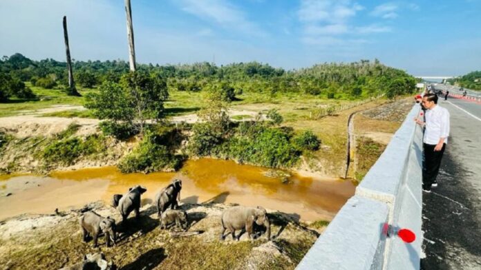 Terowongan Perlintasan Gajah Terowongan Perlintasan Gajah