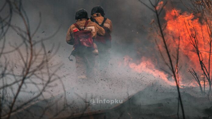 Karhutla di Pekanbaru Karhutla di Pekanbaru