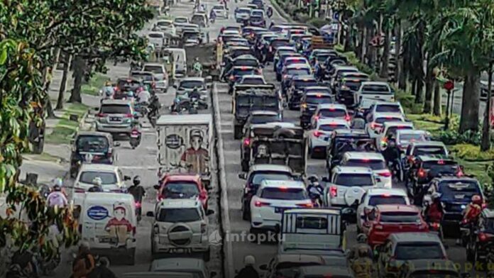 Pohon Jalan Sudirman Pekanbaru Pohon Jalan Sudirman Pekanbaru