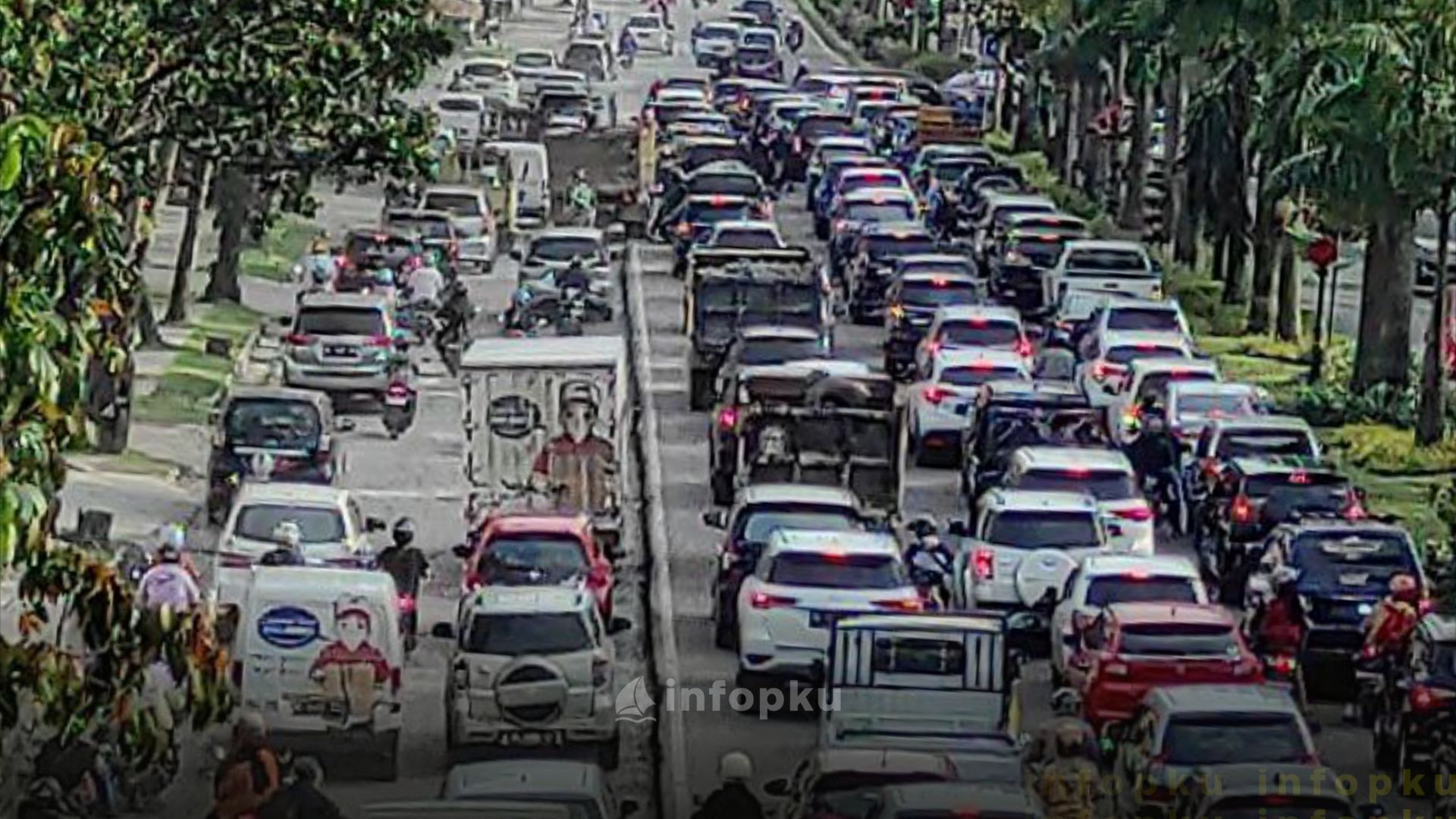 Pohon Jalan Sudirman Pekanbaru