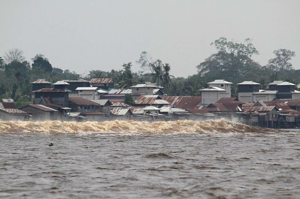 bono sungai kampar