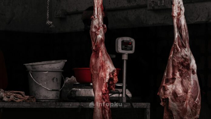 Harga Daging Sapi Pekanbaru