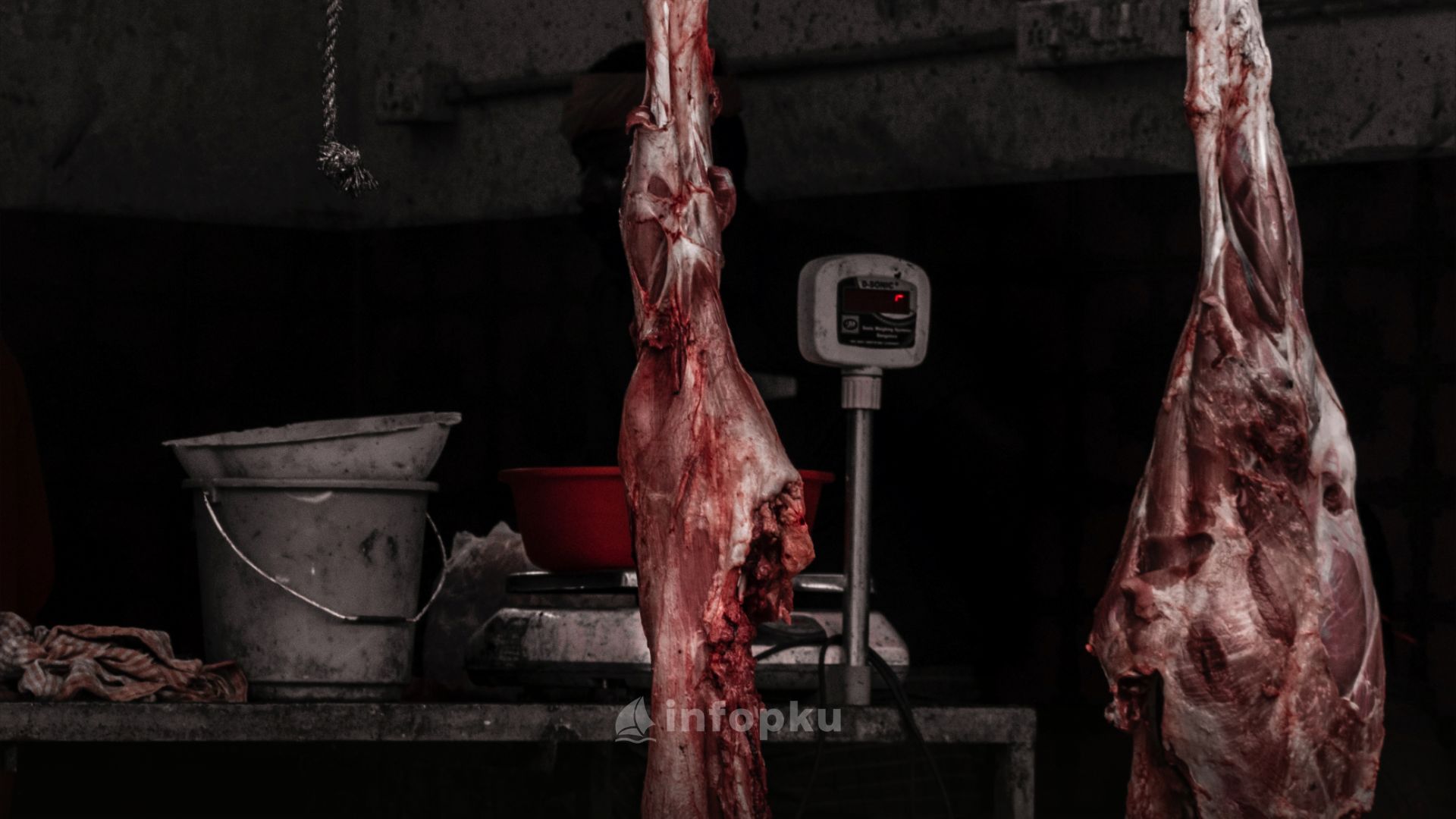 Harga Daging Sapi Pekanbaru
