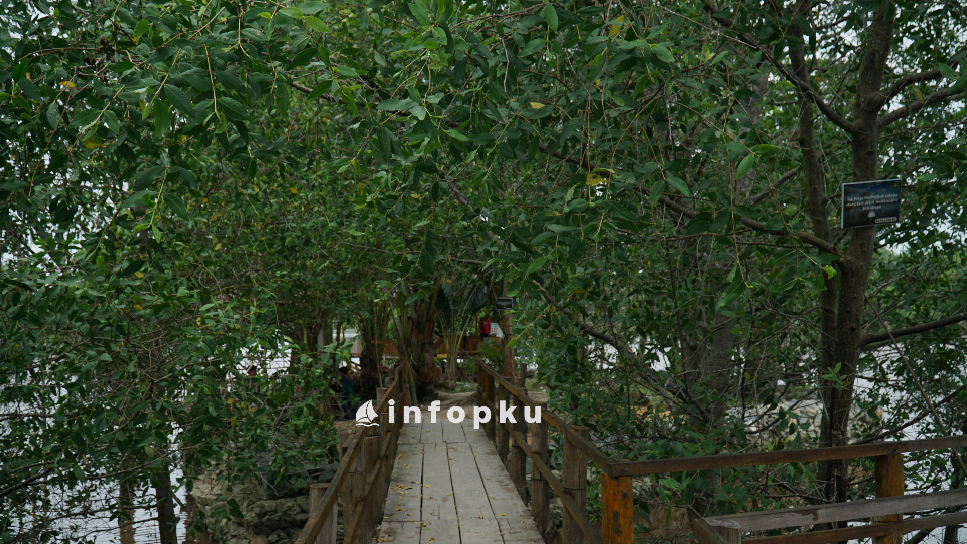 Wisata Pulau Semut Pekanbaru