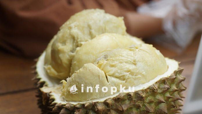 Penghasil Durian di Riau