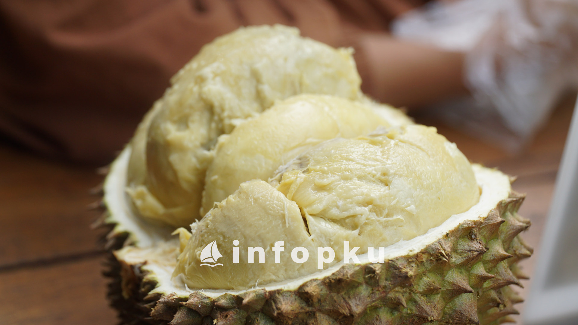 Penghasil Durian di Riau