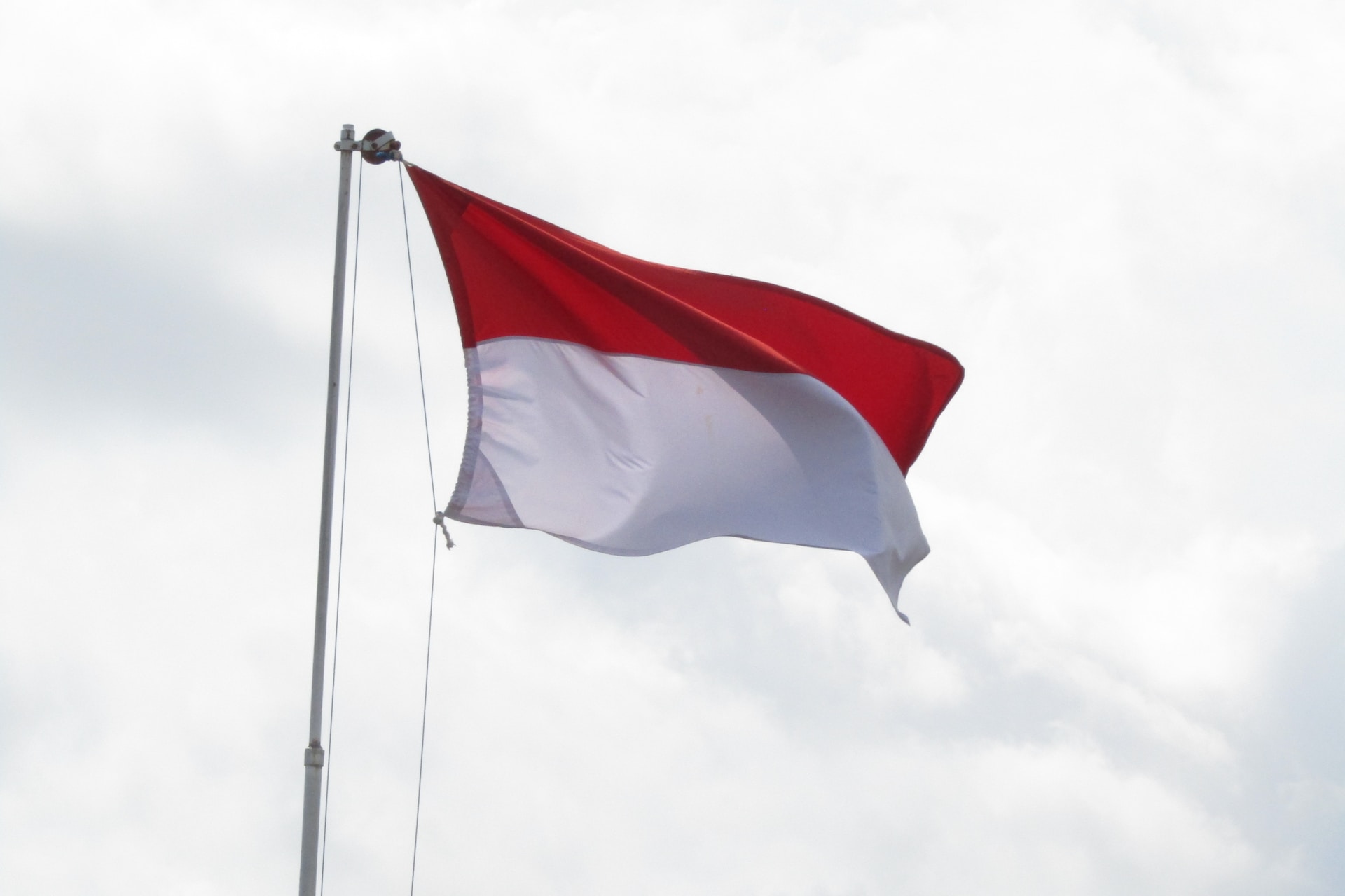 Bahasa Indonesia Jadi Bahasa