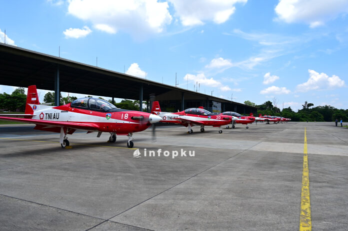 Jupiter Aerobatic Team