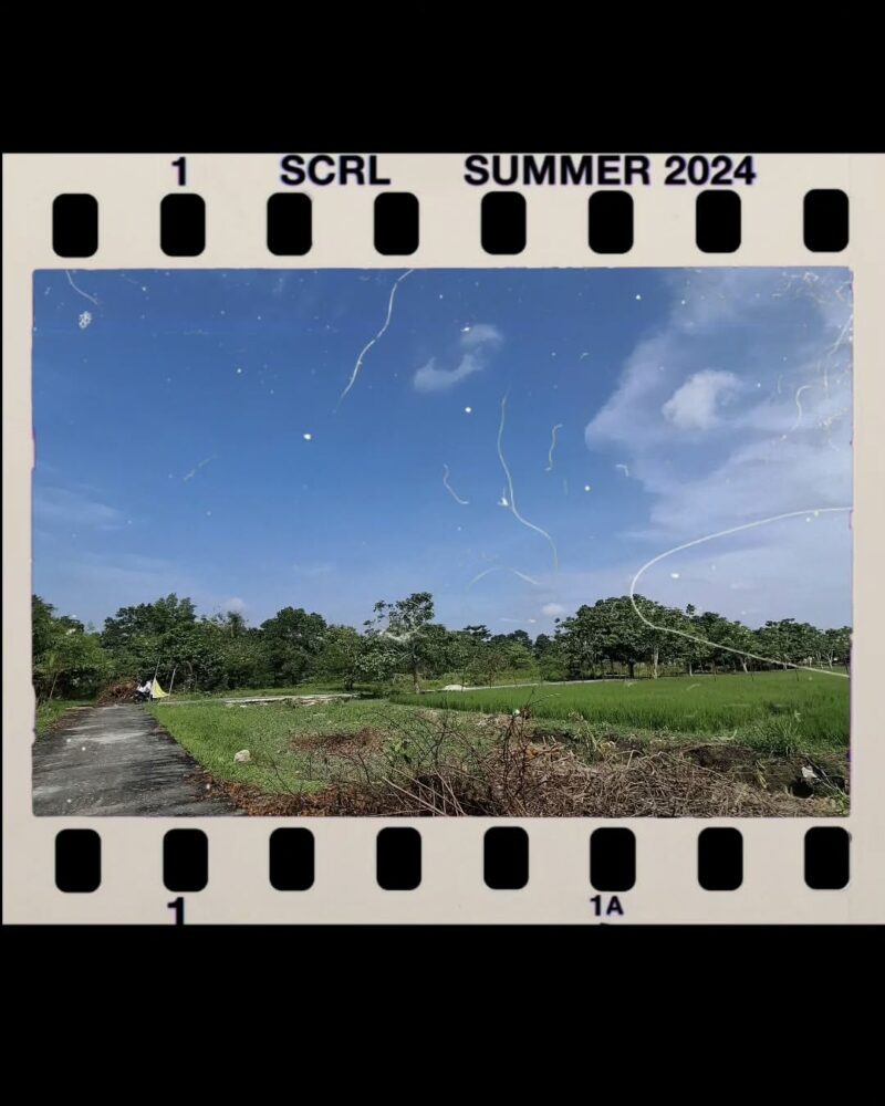 Agrowisata Balai Benih Induk (BBI) Padang Marpoyan